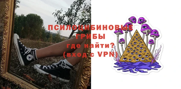 Альфа ПВП Лабытнанги