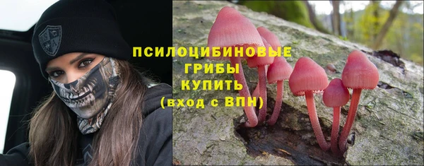 ГАЛЛЮЦИНОГЕННЫЕ ГРИБЫ Вуктыл