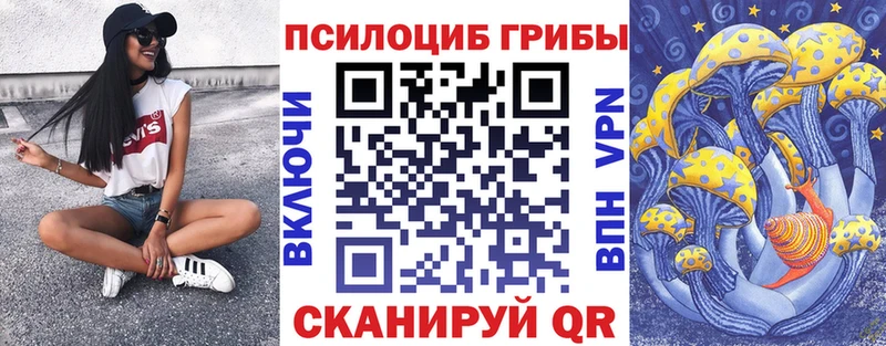 Псилоцибиновые грибы прущие грибы  дарнет шоп  Луга 